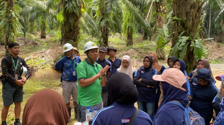 Dorong Produktivitas Sawit untuk Program B50, Petani Diminta Maksimalkan Peremajaan Perkebunan