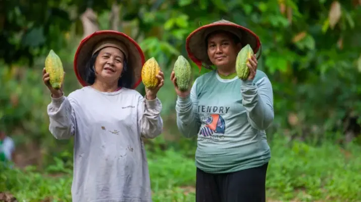 Agroforestri Kakao Membuka Harapan Baru bagi Petani dan Kelestarian Lingkungan